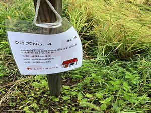 Simg_4196_2